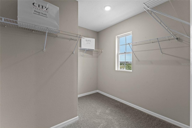 spacious closet with carpet floors