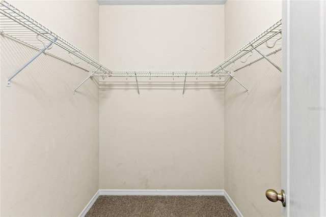walk in closet with carpet flooring