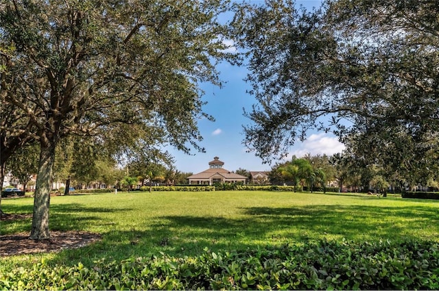 view of community with a yard