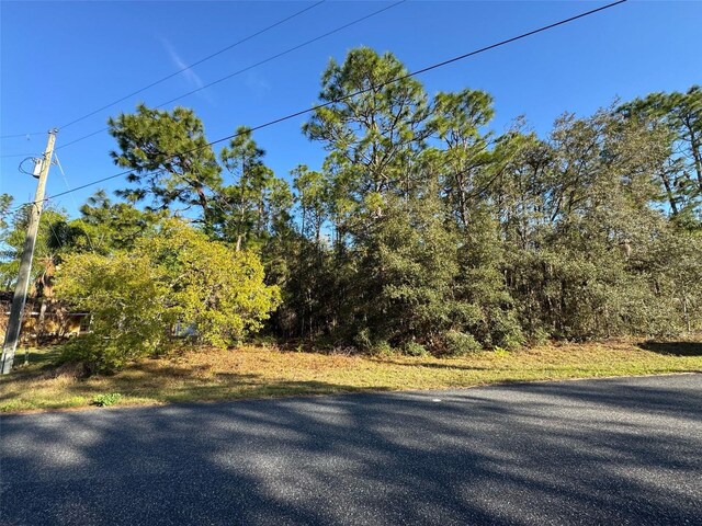 7896 N Triana Dr, Citrus Springs, FL 34434 - photo 1