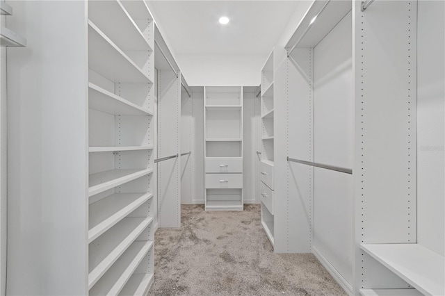 6139 Claystone Way, Mount Dora, FL 32757 - spacious closet featuring carpet flooring