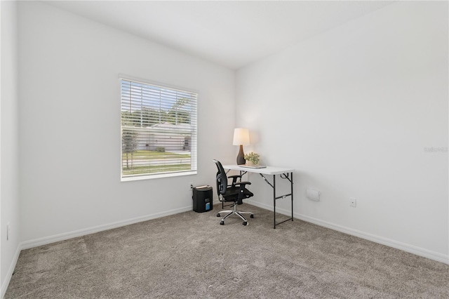 6139 Claystone Way, Mount Dora, FL 32757 - office featuring carpet and baseboards