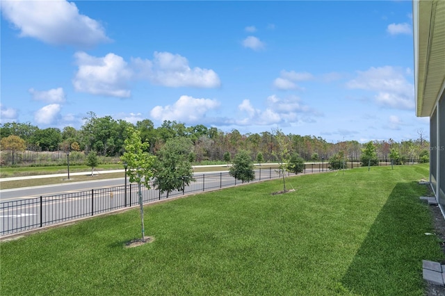 6139 Claystone Way, Mount Dora, FL 32757 - view of yard