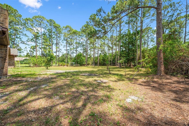 4206 Hield Rd NW, Palm Bay, FL 32907 - view of green lawn