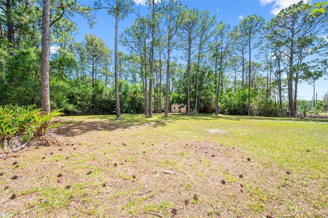 4206 Hield Rd NW, Palm Bay, FL 32907 - view of green lawn with an outbuilding and a storage unit