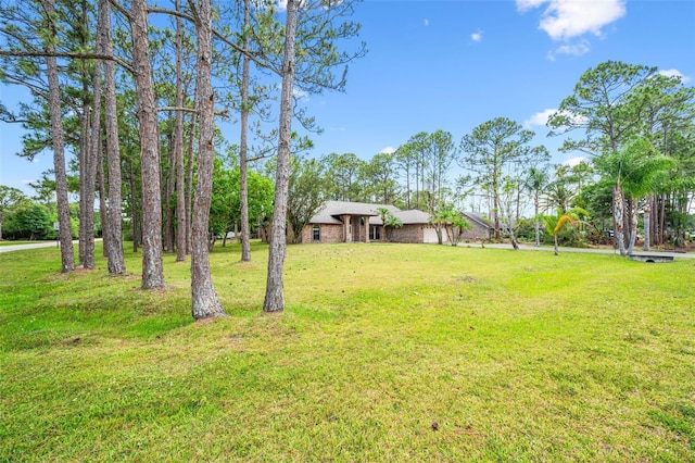 4206 Hield Rd NW, Palm Bay, FL 32907 - view of grassy yard