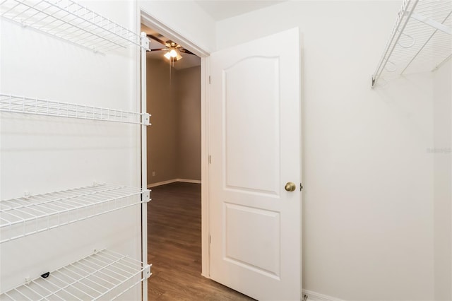 24237 Rolling View Ct, Lutz, FL 33559 - walk in closet with light wood-style floors and a ceiling fan