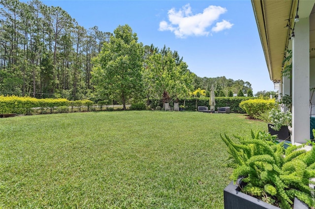 13137 Lower Harden Ave, Orlando, FL 32827 - photo 42