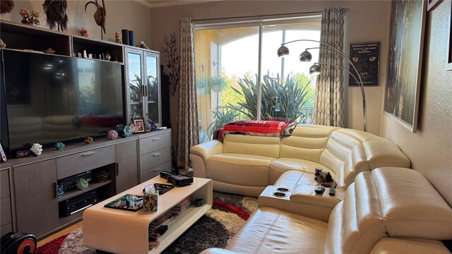 living area featuring ornamental molding
