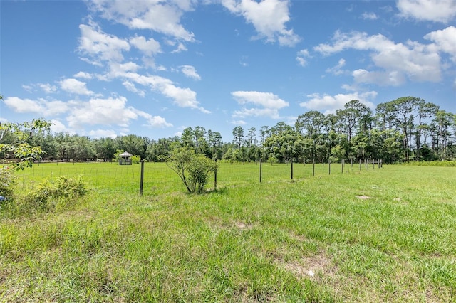 view of yard featuring a rural view