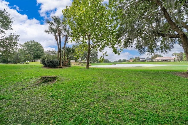 view of home's community featuring a lawn