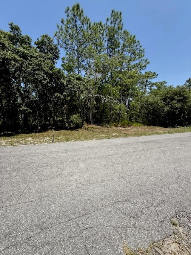 SW 148th Place Rd, Dunnellon, FL 34432
