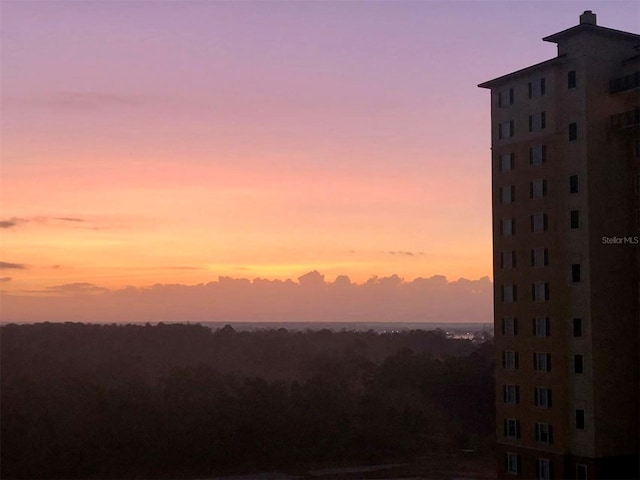8125 Resort Village Dr Unit 5808, Orlando, FL 32821 - photo 13