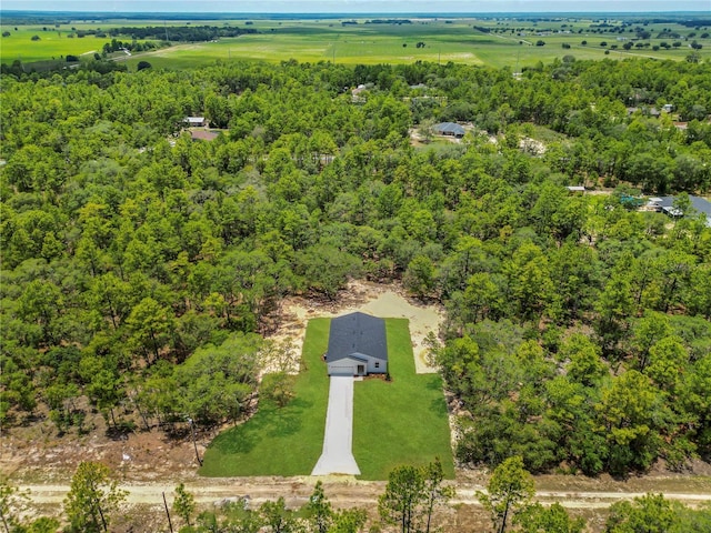 8258 SW 136th Ter, Dunnellon, FL 34432 - aerial view