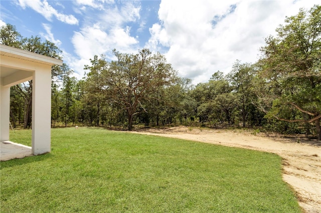 8258 SW 136th Ter, Dunnellon, FL 34432 - view of green lawn