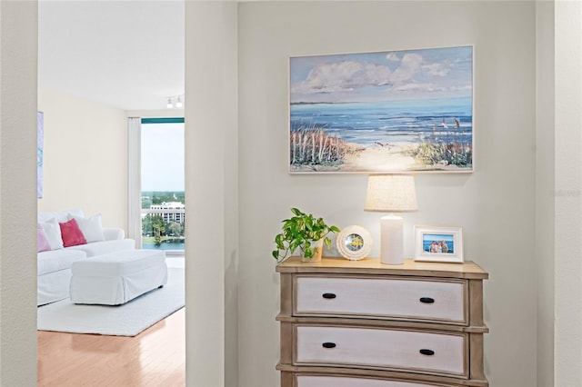 322 E Central Blvd Unit 1612, Orlando, FL 32801 - detailed view of wood finished floors