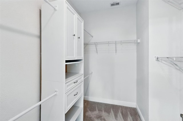 walk in closet with carpet floors