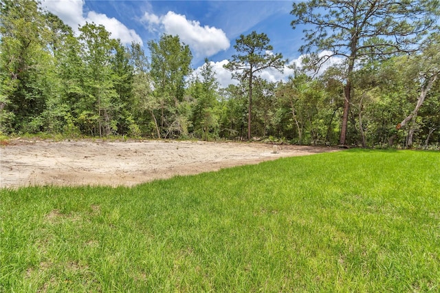 13101 SW 85th Pl, Dunnellon, FL 34432 - view of grassy yard with a wooded view