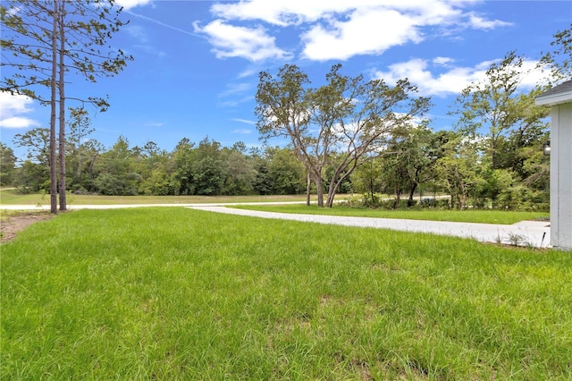 13101 SW 85th Pl, Dunnellon, FL 34432 - view of grassy yard