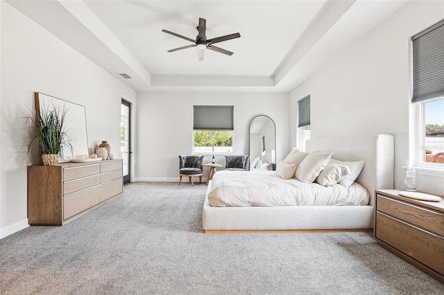 bedroom with a raised ceiling, multiple windows, and carpet floors