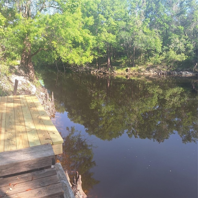 5148 Cyril Dr, Dade City, FL 33523 - photo 44
