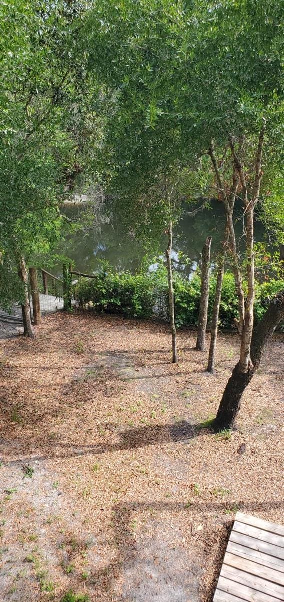 5148 Cyril Dr, Dade City, FL 33523 - photo 37