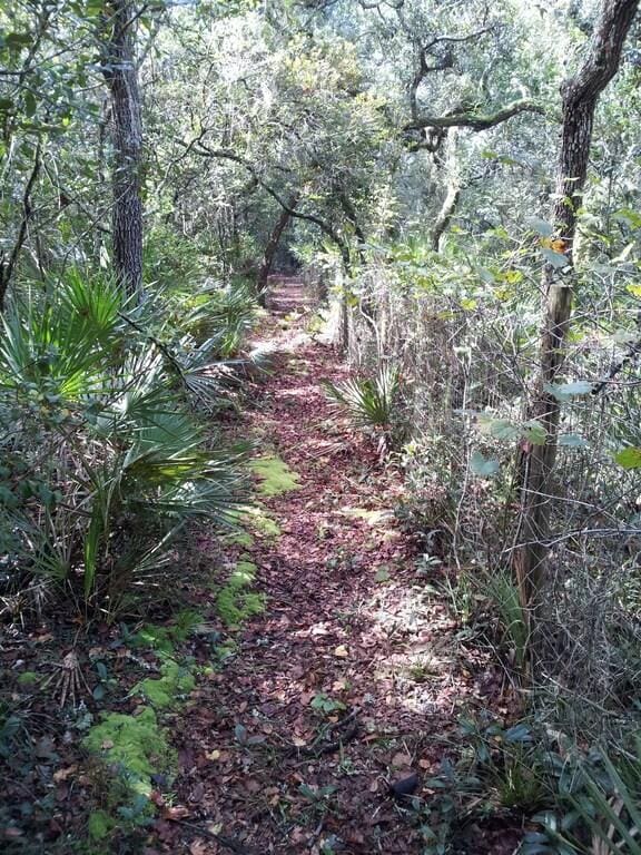 5148 Cyril Dr, Dade City, FL 33523 - photo 8
