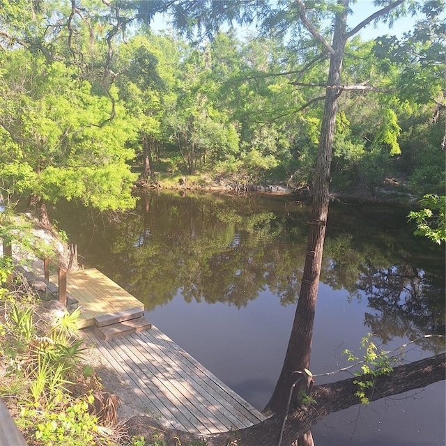 5148 Cyril Dr, Dade City, FL 33523 - photo 32