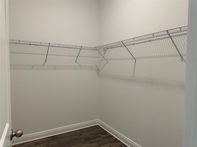 walk in closet featuring dark wood finished floors