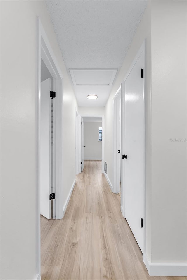 7085 Willowwood St, Orlando, FL 32818 - hallway featuring light wood finished floors and baseboards