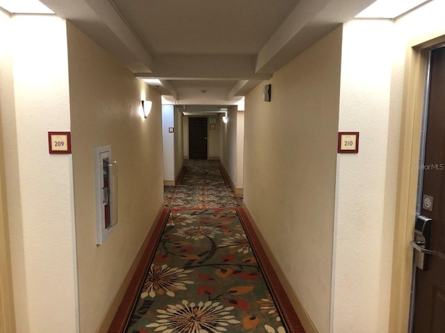 hall featuring carpet floors