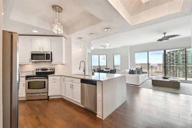kitchen with appliances with stainless steel finishes, a sink, a tray ceiling, a peninsula, and open floor plan