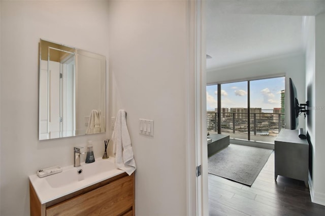 bathroom with wood finished floors and vanity