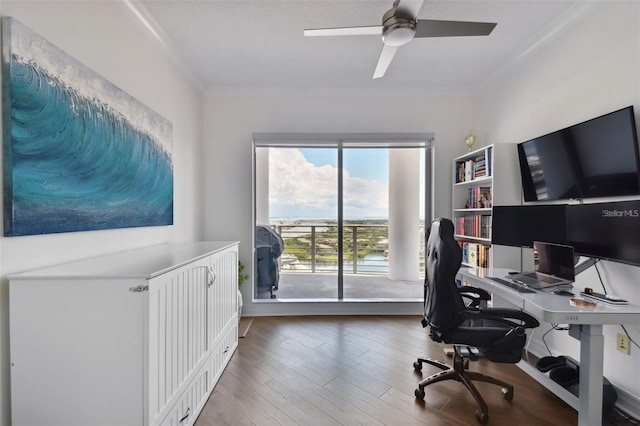 office area featuring ornamental molding, ceiling fan, and wood finished floors