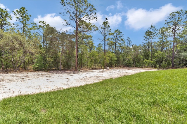 12197 SW 76th Ln, Dunnellon, FL 34432 - view of green lawn featuring a forest view