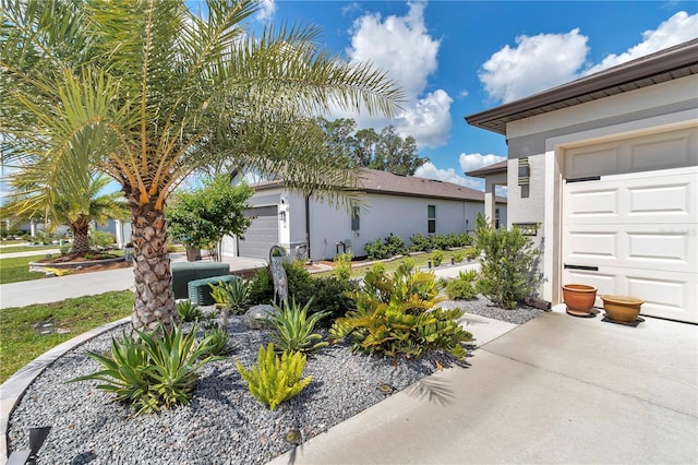 8413 SW 54th Loop, Ocala, FL 34481 - view of home's exterior with a garage and stucco siding
