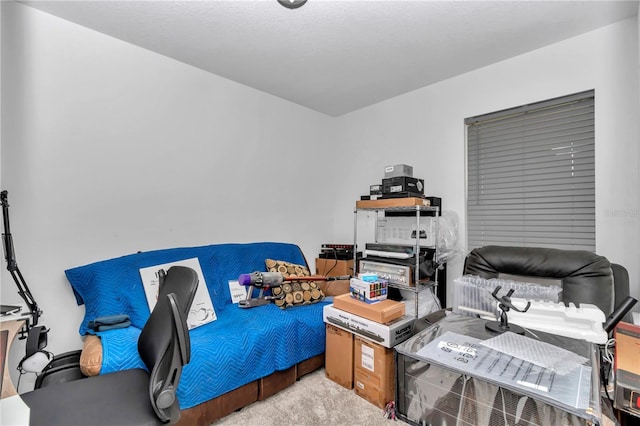 8413 SW 54th Loop, Ocala, FL 34481 - view of carpeted bedroom