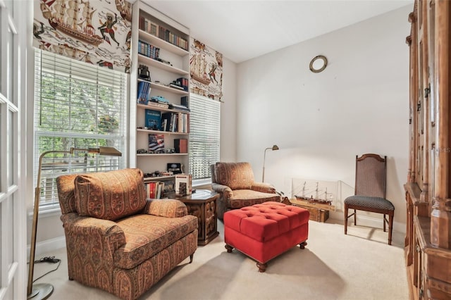 living area with carpet and plenty of natural light