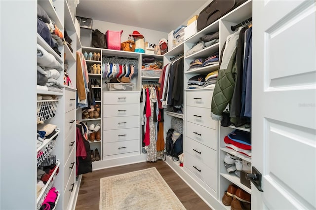 15408 Lebeau Loop, Winter Garden, FL 34787 - walk in closet featuring dark wood-style floors