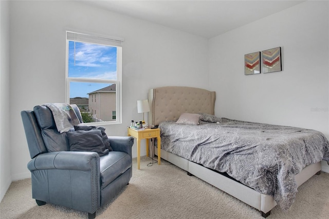 2834 Common Crane Ct, Saint Cloud, FL 34773 - view of carpeted bedroom
