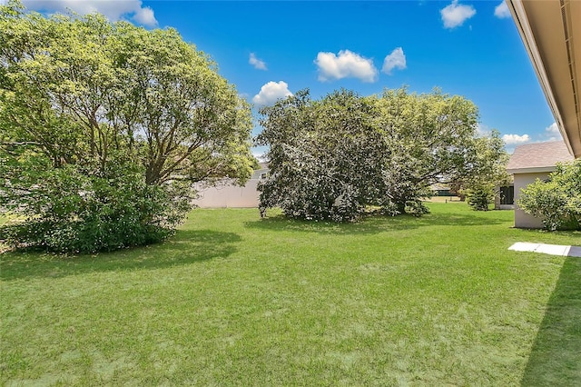 922 Hatteras Ave, Minneola, FL 34715 - view of yard