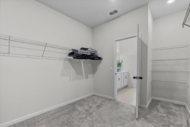 spacious closet with carpet floors