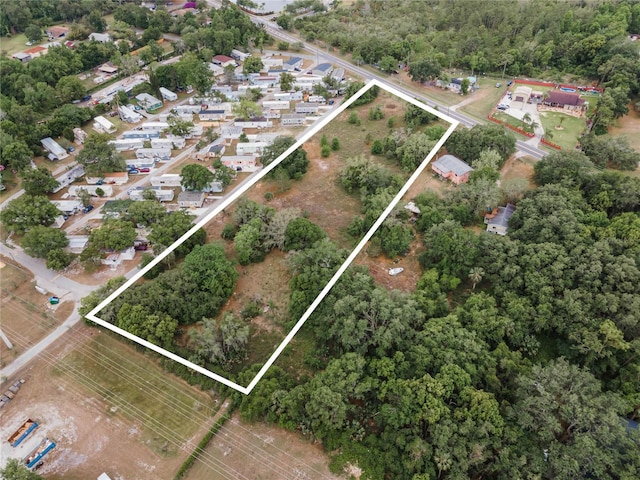 15265 Old Cheney Hwy, Orlando, FL 32828 - photo 3
