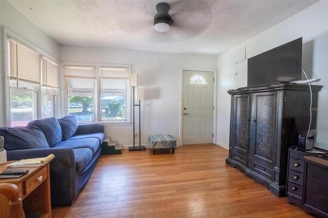 1615 Crestwood Dr, Orlando, FL 32804 - photo 4