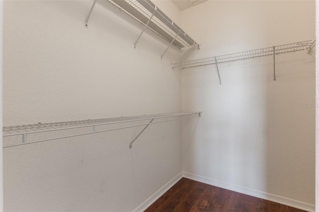 spacious closet featuring dark wood-style floors