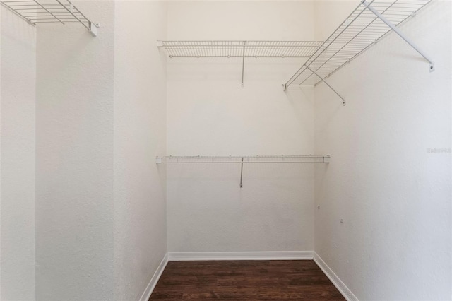 spacious closet featuring wood finished floors