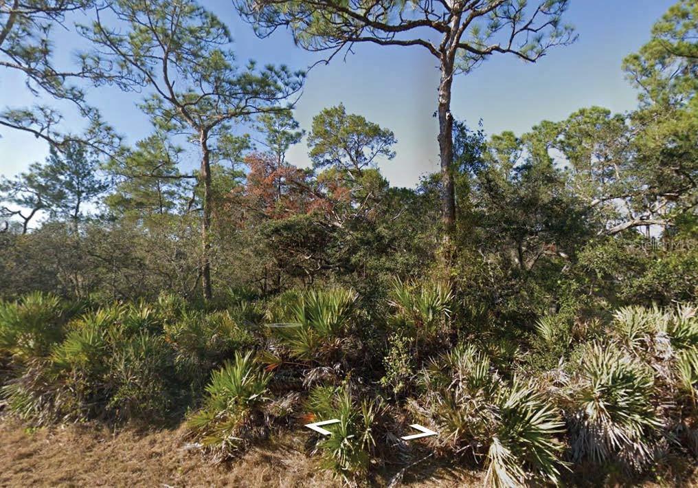 3249 Glen Springs Ave, Lake Placid, FL 33852 - photo 1