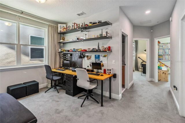 8160 Iron Mountain Trl, Windermere, FL 34786 - office space featuring carpet floors and baseboards