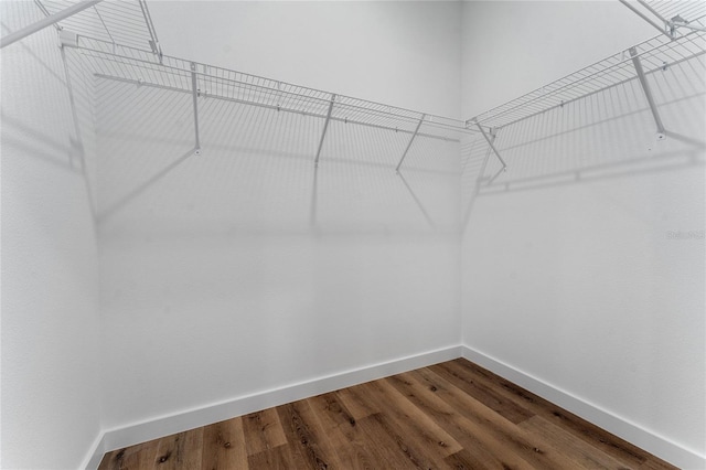 7104 N Maltese Dr, Citrus Springs, FL 34433 - spacious closet with dark wood-style flooring