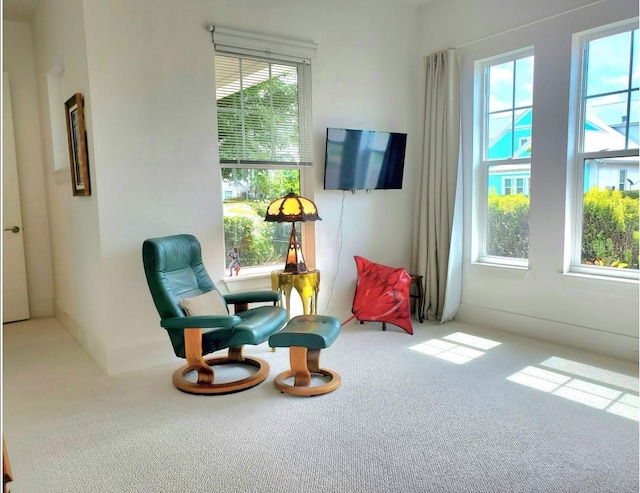 14835 Dockside Ln, Naples, FL 34114 - sitting room featuring carpet floors